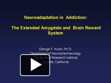 PPT – Neuroadaptation in Addiction: The Extended Amygdala and Brain ...