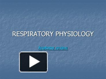 PPT – RESPIRATORY PHYSIOLOGY Anatomy review PowerPoint presentation ...