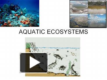 PPT – AQUATIC ECOSYSTEMS PowerPoint presentation | free to download ...