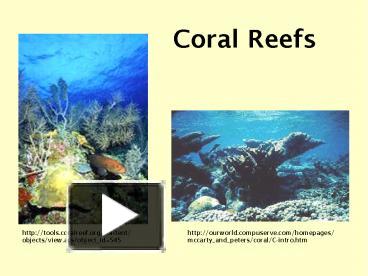 PPT – Coral Reefs PowerPoint presentation | free to download - id ...