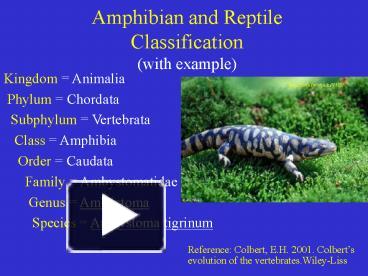 PPT – Amphibian and Reptile Classification with example PowerPoint ...