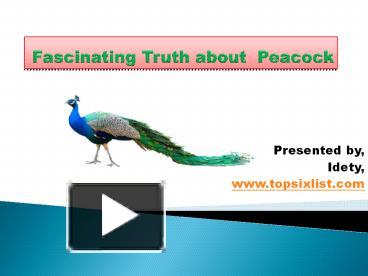 PPT – Fascinating Truth about Peacock PowerPoint presentation | free to ...