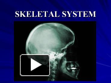 PPT – SKELETAL SYSTEM PowerPoint presentation | free to download - id ...