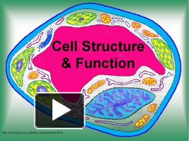 PPT – Cell Structure PowerPoint presentation | free to download - id ...