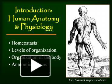 PPT – Introduction: Human Anatomy PowerPoint presentation | free to ...