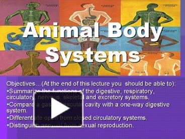 PPT – Animal Body Systems PowerPoint presentation | free to download ...