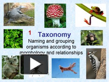 PPT – Taxonomy PowerPoint presentation | free to download - id: 6e48e6 ...