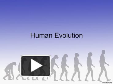 PPT – Human Evolution PowerPoint presentation | free to view - id ...