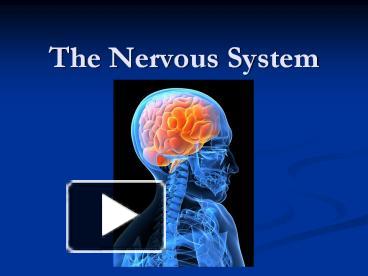 PPT – The Nervous System PowerPoint Presentation | Free To View - Id ...