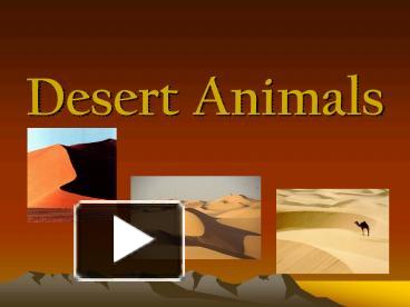 PPT – Desert Animals PowerPoint presentation | free to view - id ...