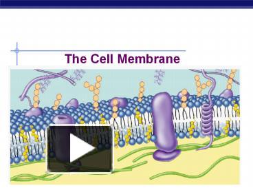 PPT – The Cell Membrane PowerPoint presentation | free to view - id ...