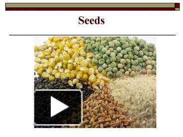 PPT – Seeds PowerPoint presentation | free to view - id: 79a5b2-Mjg2Y