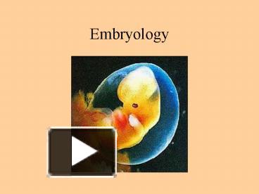 PPT – Embryology PowerPoint presentation | free to view - id: 7bee8-NzU5Z