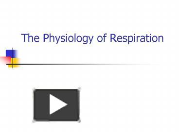 PPT – The Physiology of Respiration PowerPoint presentation | free to ...