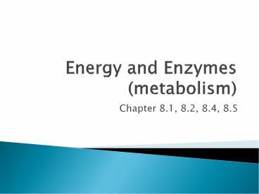 PPT – Energy and Enzymes (metabolism) PowerPoint presentation | free to ...