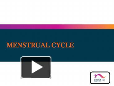 PPT – Menstrual Cycle PowerPoint presentation | free to download - id ...