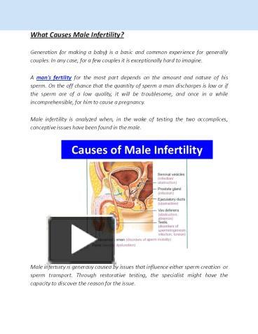 PPT – What Causes Male Infertility? PowerPoint presentation | free to ...