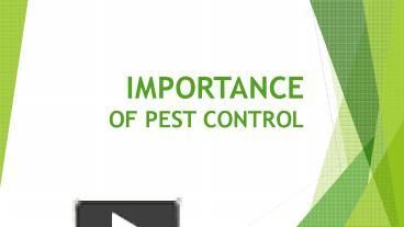 Importance of Pest Control - outdoortheme.com