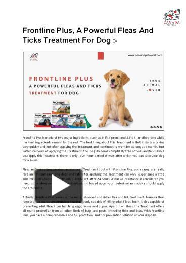 PPT – Frontline Plus, A Powerful Fleas And Ticks Treatment For Dog ...