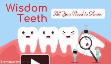 PPT – Wisdom Teeth All You Need to Know by Dentist in Brampton ...