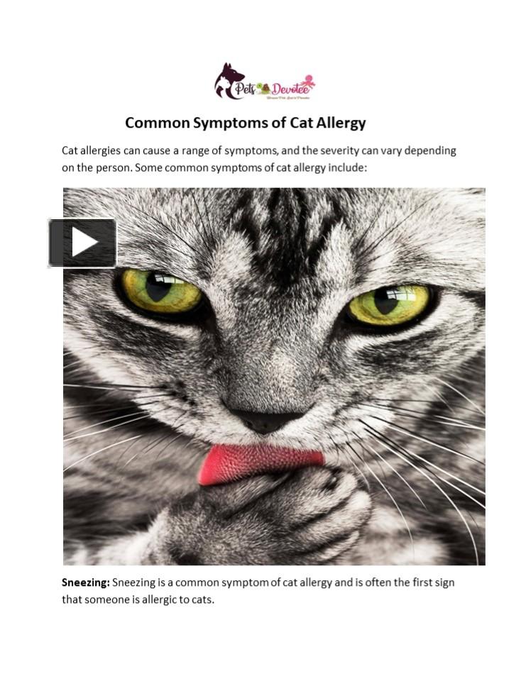 PPT – Common Symptoms of Cat Allergy PowerPoint presentation | free to ...