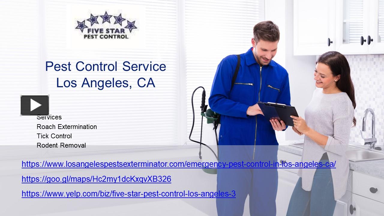 PPT – Pest Control Services in Los Angeles, CA PowerPoint presentation ...