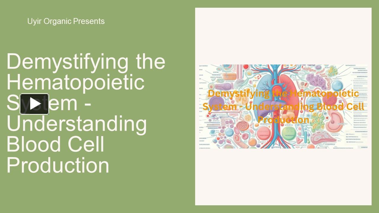 PPT – Demystifying the Hematopoietic System - Understanding Blood Cell ...