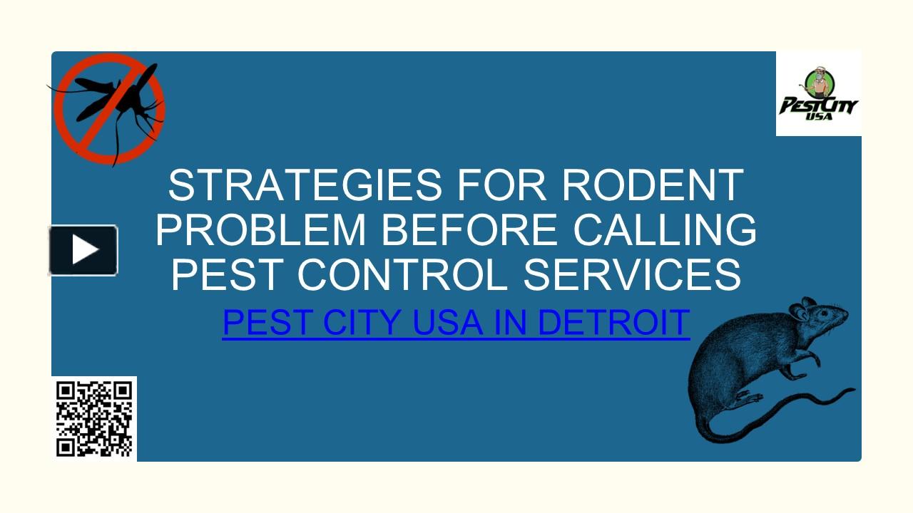 PPT – Efficient Ways to Cope with Rodent Issues | Pest City USA ...