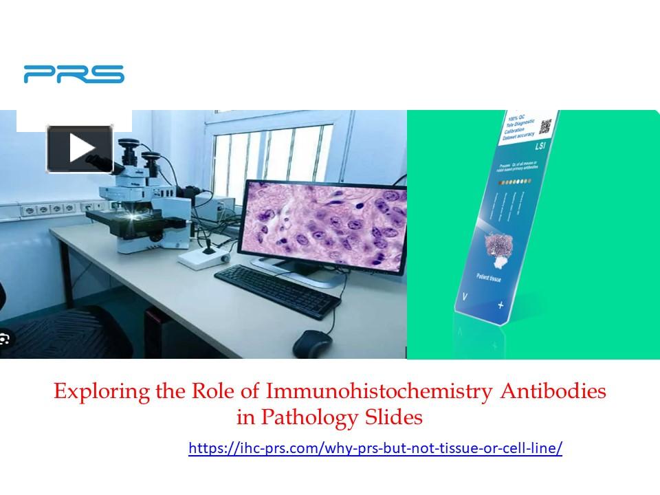 PPT – Exploring the Role of Immunohistochemistry Antibodies in ...