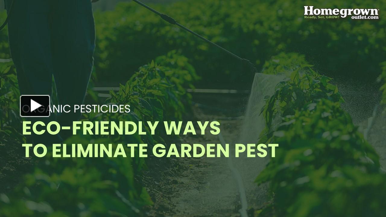 PPT – Organic Pesticides - Eco Friendly ways to Eliminates garden Pests ...