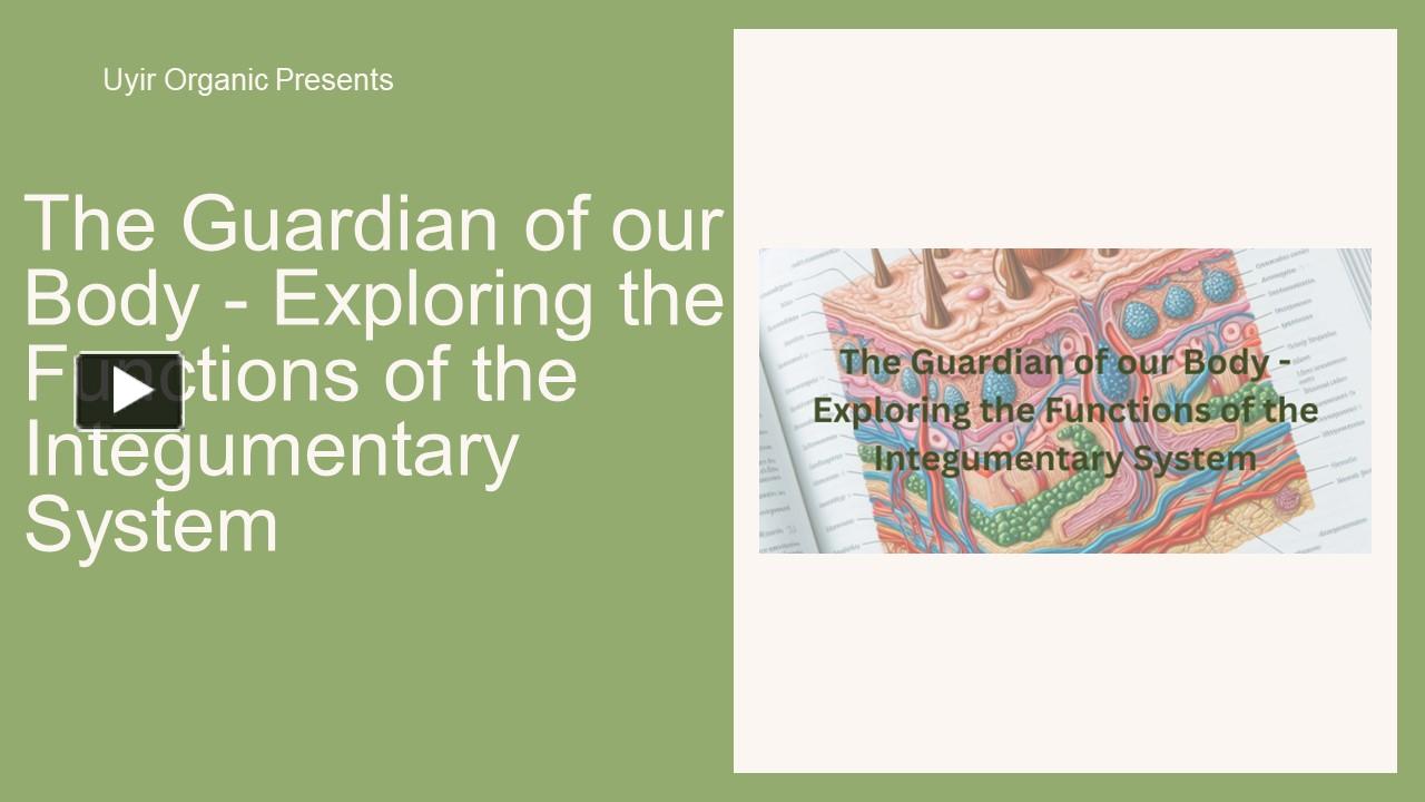 PPT – The Guardian of our Body - Exploring the Functions of the ...