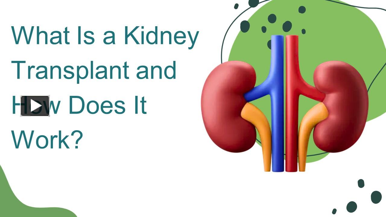 PPT – What Is a Kidney Transplant and How Does It Work? PowerPoint ...