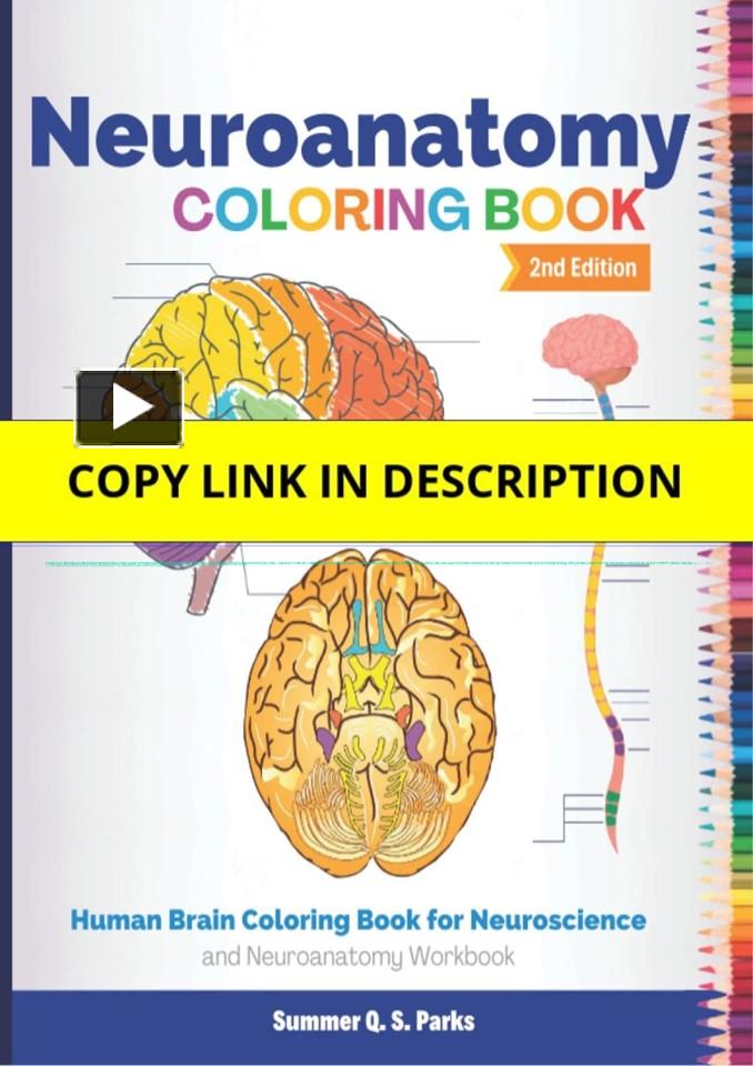 PPT – [PDF] Neuroanatomy Coloring Book: Human Brain Coloring Book for ...