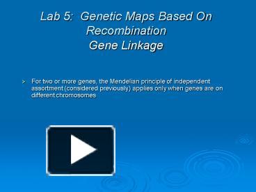 PPT – Lab 5: Genetic Maps Based On Recombination Gene Linkage ...