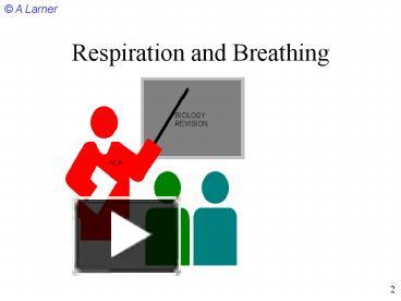 PPT – Respiration and Breathing PowerPoint presentation | free to view ...